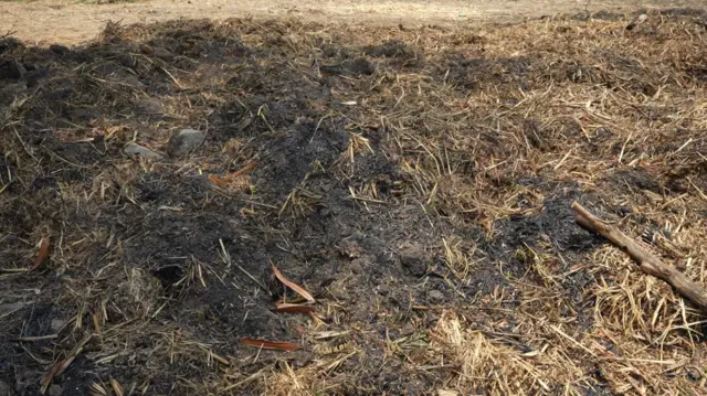 అనంతపురంలో గడ్డివాములను తగులబెట్టినట్లుగా చెబుతున్నారు 