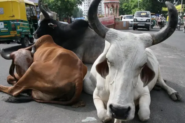 પ્રતીકાત્મક તસવીર