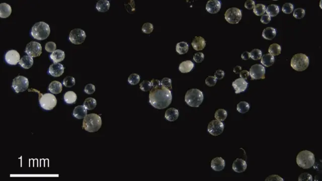 Bevafo xotinlar haqida porno tomosha qiling