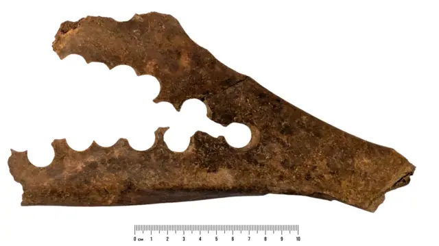 Omóplato de animal de color marrón oscuro (parece una forma de V de lado) con muchos círculos casi perfectos recortados en él.