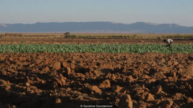 电站从当地的 ElMansourEddahbi 大坝抽取大量水。缺水是半荒漠化地区的一大问题（图片来源：Sandrine Ceurstemont）