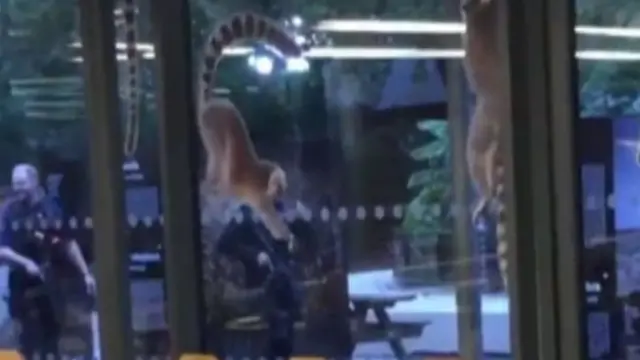 Londra polisi hayvanat bahçesinde