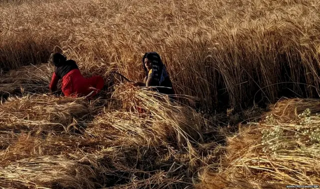 भारतीय किसान