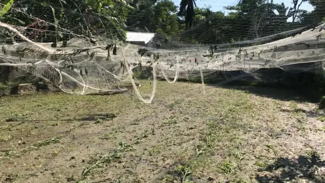 ঝড়ে নষ্ট হয়ে যাওয়া সবজির ক্ষেত