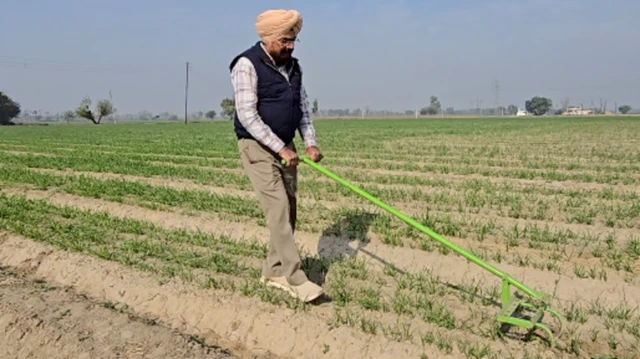 બેડ ફાર્મિંગ એટલે શું, બેડફાર્મિંગથી કેટલું ઉત્પાદન થાય, બેડ ફાર્મિંગથી પાણીની બચત, પ્રગતિશીલ ખેડૂત, કૃષિઉત્પાદકતા, કૃષિ સમાચાર, બીબીસી ગુજરાતી