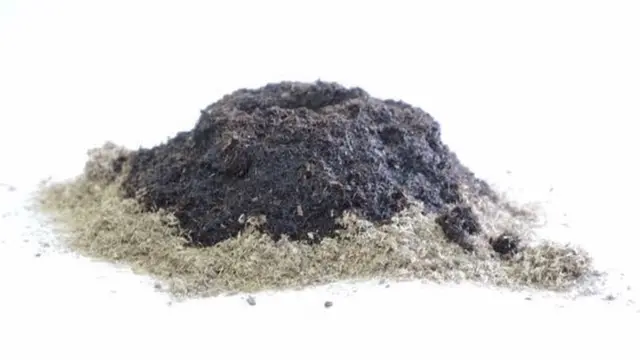 Folha Mouftaou, David Gnonlonfoun, Green Keeper Africa, Afrique Avenir, Rémy Nsabimana, BBC Afrique