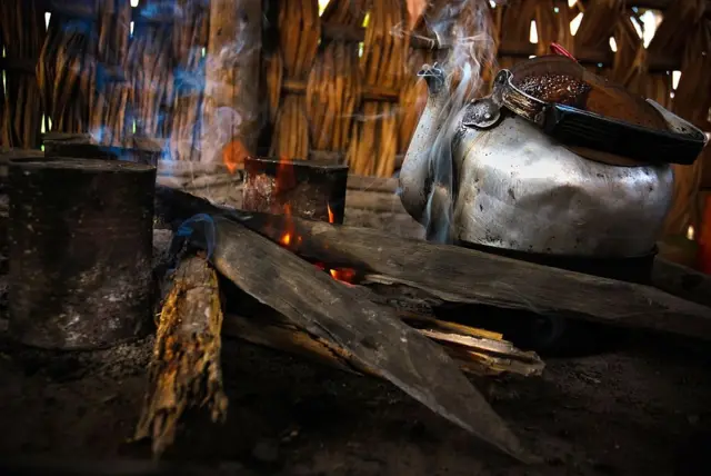 Share of the population with access to clean fuels for cooking