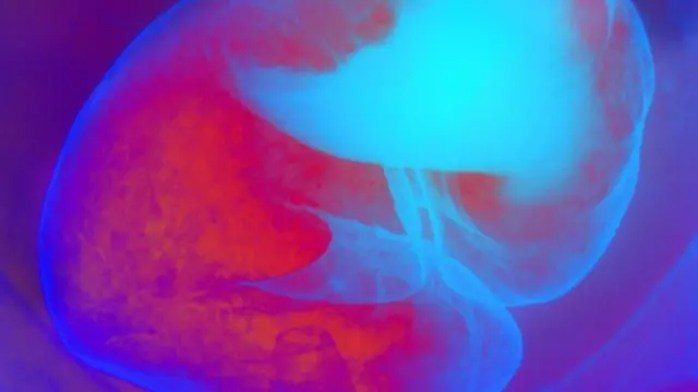 د بریتانیا ۱۵ تر ۲۰ سلنې وګړو کولمو کې د ښه پړسوب خبره دود شوې ده.