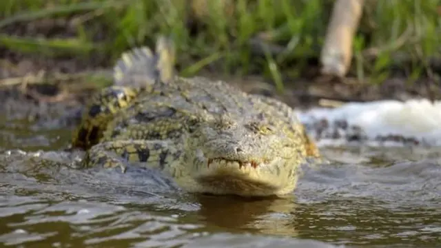 Serikali ya Rwanda iliweka amri ya kukaa nyumbani siku ya Jumapili kutokana na kuendelea kuongezeka kwa kasi kwa visa vya Covid-19.