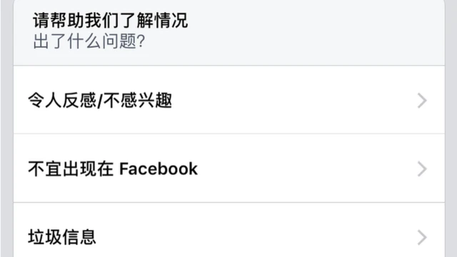 此前的facebook举报项目中，没有假新闻选项。