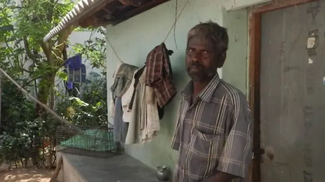 जल्लीकट्टू