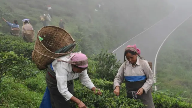 दार्जिलिंग