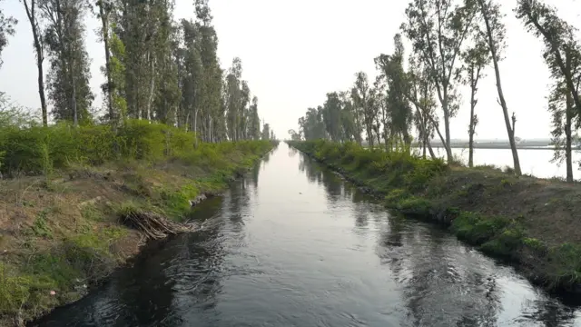 गांव के पास से गुजरती गुरुग्राम नहर का पानी काला, बदबूदार है 