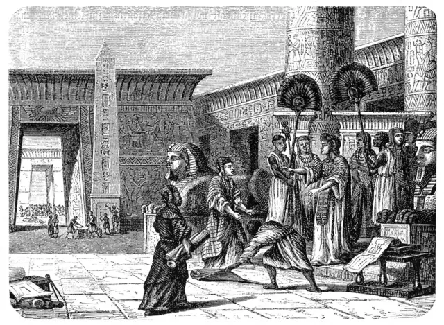 Durant la période antique, Alexandrie fut un haut lieu de savoirs grâce à célèbre bibliothèque, faisant de la cité, l'une des plus célèbres à l'époque.