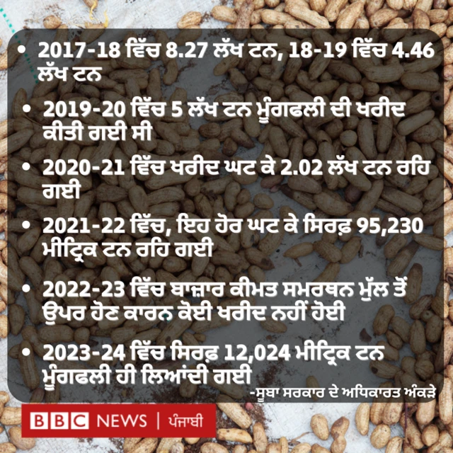 ਮੂੰਗਫਲੀ