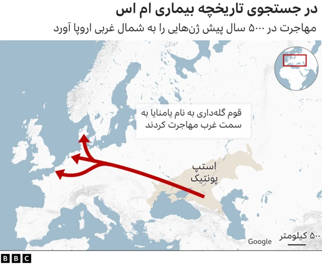 انتقال ژن به شمال غربی اروپا