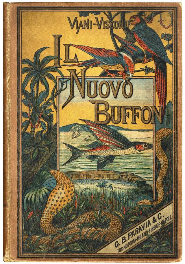 A capa do “Il Nuovo Buffon”, uma versão italiana para crianças, do começo do século XX, da famosa obra de Buffon publicada na primeira metade do século XVIII