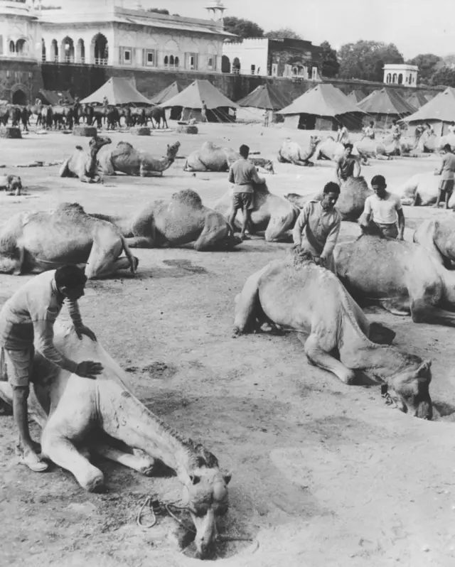 1951 की तस्वीर