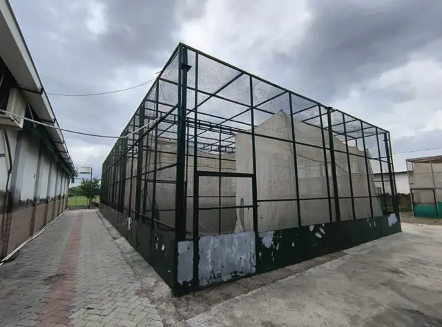 ભાવનગર ખડમોર સંવર્ધન સમાગમ નર માદા પક્ષી સંવર્ધન વિલુપ્ત થતી પ્રજાતિ, ગુજરાત સૌરાષ્ટ્ર કચ્છ ઘાસનાં મેદાનો, પ્રકૃતિ વાઇલ્ડલાઇફ, બીબીસી ગુજરાતી ગુજરાતીમાં સમાચાર