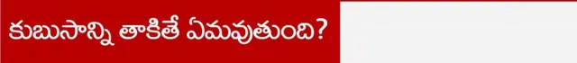 కుబుసాన్ని తాకితే ఏమవుతుంది