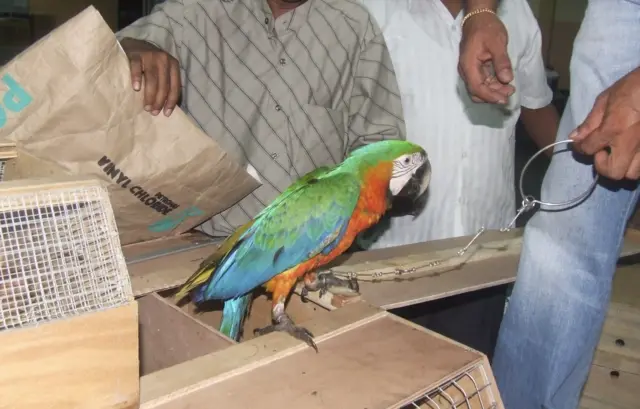 රටවල් 180ක් අතරින් වඩාත්ම නරක රටවල් පහට ඉන්දියාව ඇතුලත් වේ. 