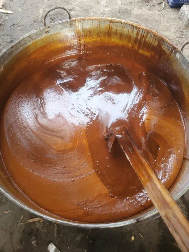 உடன்குடி சர்ச்சை: கலப்பட கருப்பட்டி சாப்பிட்டால் என்ன ஆகும்? அசல், போலியைக் கண்டறிவது எப்படி?