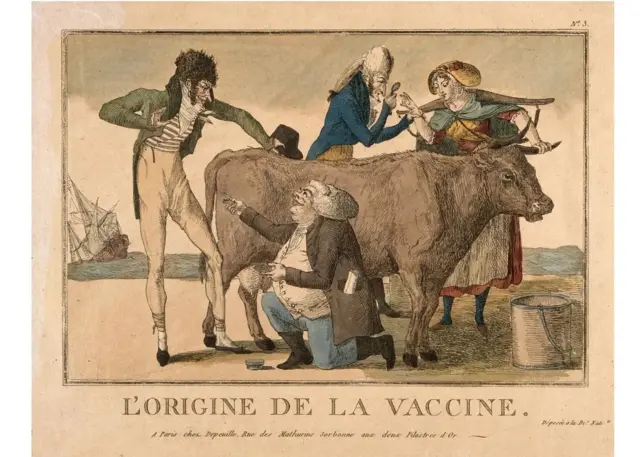 Examination d'une vache