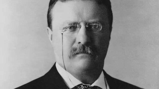 西奧多·羅斯福