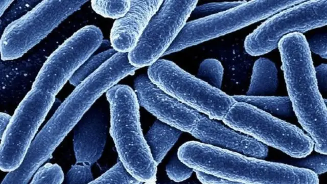 एंटी बायटिक