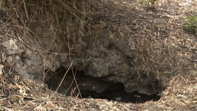 Gua Tikus di Blitar selatan