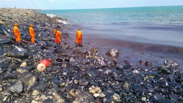 சென்னை எண்ணூர் துறைமுகத்தில் எண்ணெய் கழிவுகள்