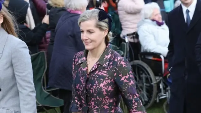 Wessex qrafinyası Sophie