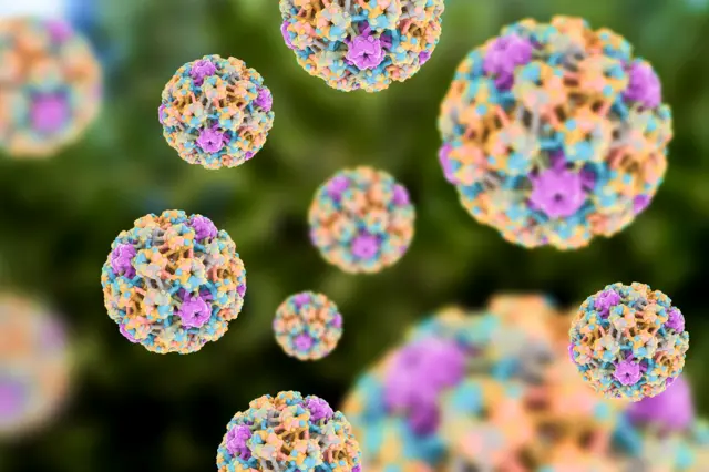 Bilgisayar simülasyonlarına göre HPV'nin görünüşü bir topa benziyor