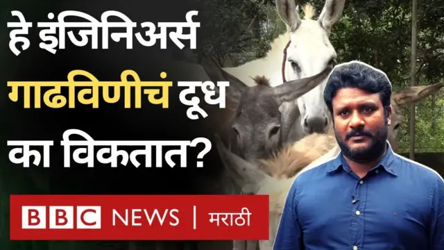 गाढविणीचं दूध
