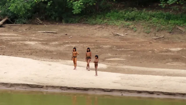 SURVIVAL INTERNATIONAL