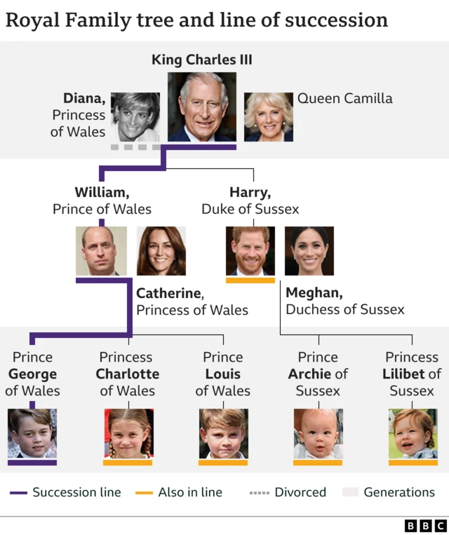 A family tree graphic showing Queen Elizabeth II’s children Charles, Anne, Andrew and Edward and their families. It also shows the line of succession from King Charles III to his son William and grandson George