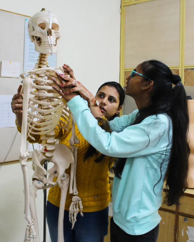 Examinadoras durante treinamentomines f12esqueleto