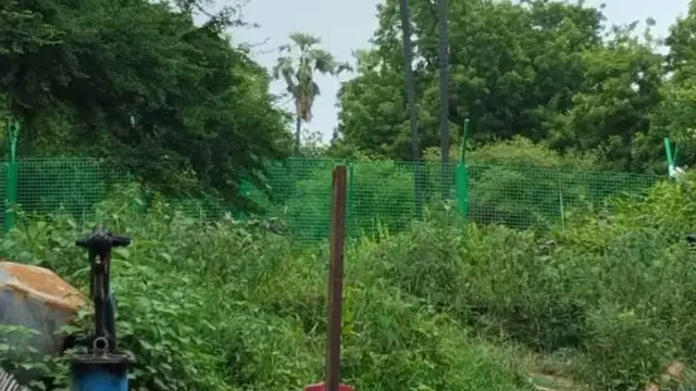 စစ်တပ်နဲ့ပူးပေါင်းတာရပ်ဖို့ ဝမ်ပေါင်၊ ယန်စီကုမ္ပဏီကို မုံရွာသပိတ်အင်အားစုတွေသတိပေး 