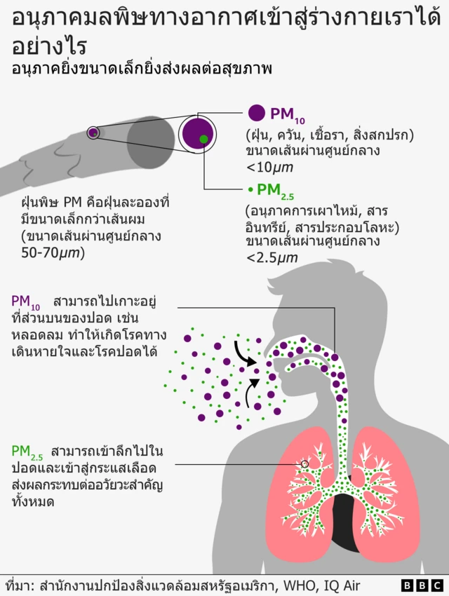 กราฟิกแสดงถึงผลกระทบจากมลพิษทางอากาศต่อสุขภาพ