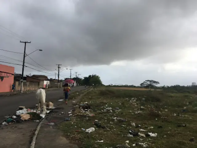 Periferiaapostas bingo onlineMaceió