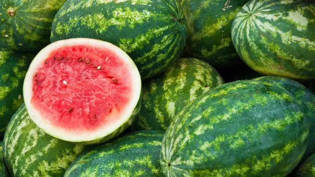 தர்பூசணியில் கலப்படமா, முக்கிய செய்திகள், தலைப்பு செய்திகள், விவசாயிகள் நஷ்டம், தமிழ்நாடு செய்திகள், தமிழக விவசாயிகள் , கோடைக்காலம், கோடை பானங்கள், விவசாயிகள், வேளாண் பிரச்னைகள்