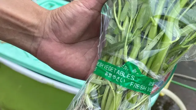 MB Farm, hidroponik, Masjid Baitussalam, Tamansari, Jakarta Barat