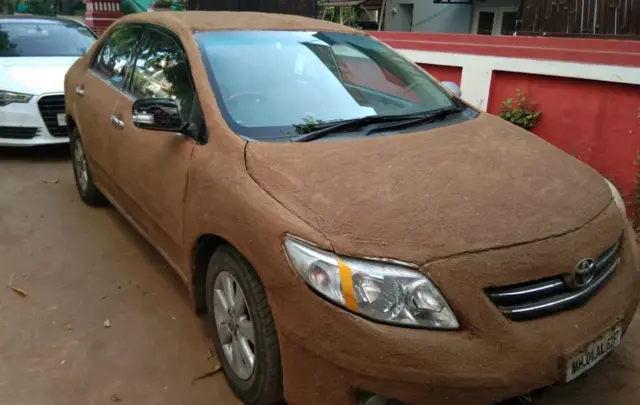 લીંપણવાળી ગાડી આકર્ષણ બની