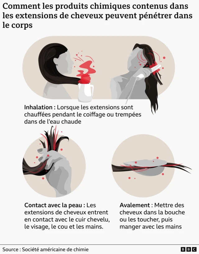 Cette infographie explique comment les produits chimiques contenus dans les extensions de cheveux peuvent pénétrer dans l'organisme. Elle présente trois images illustrant les voies d'exposition possibles&nbsp;: inhalation des vapeurs lors du chauffage des extensions pendant le coiffage ou leur trempage dans l'eau chaude&nbsp;; contact cutané lorsque les extensions touchent le cuir chevelu, le visage, le cou ou les mains&nbsp;; et ingestion, par exemple en touchant les cheveux puis en les mangeant ou en les mettant dans la bouche.