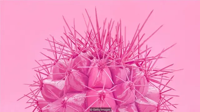 在医疗行业，女性的疼痛常常受到忽视。