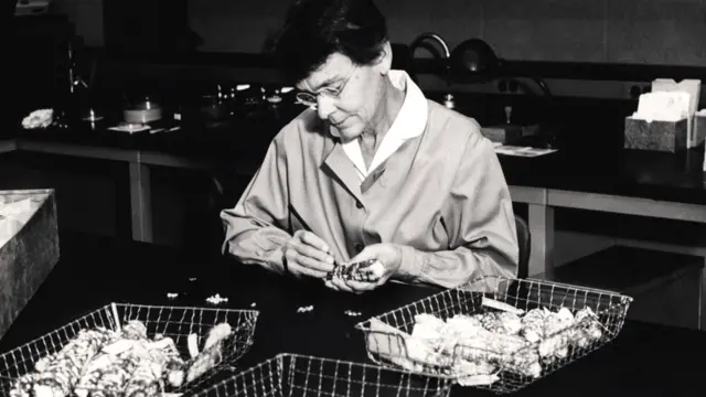 Barbara McClintock