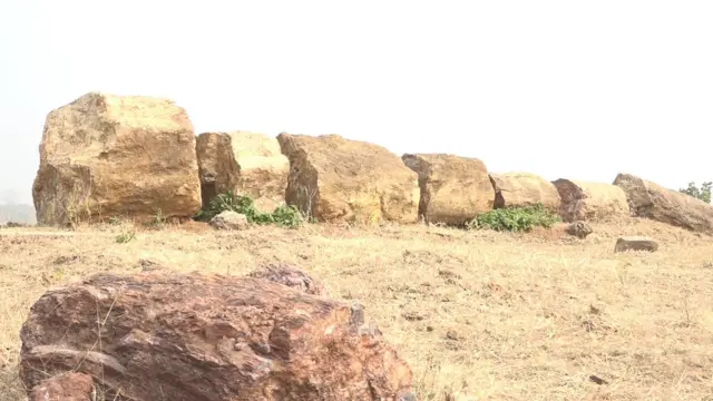 Dinosaur India Madhya Pradesh Dhar Narmada