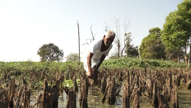गोसीखुर्द