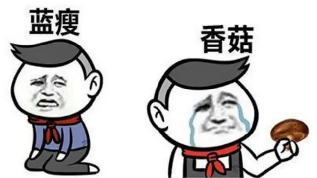 蓝瘦香菇示意图