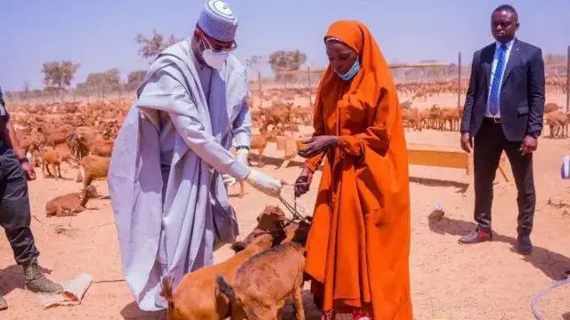 Gwamnan Katsina yayin rabon awaki